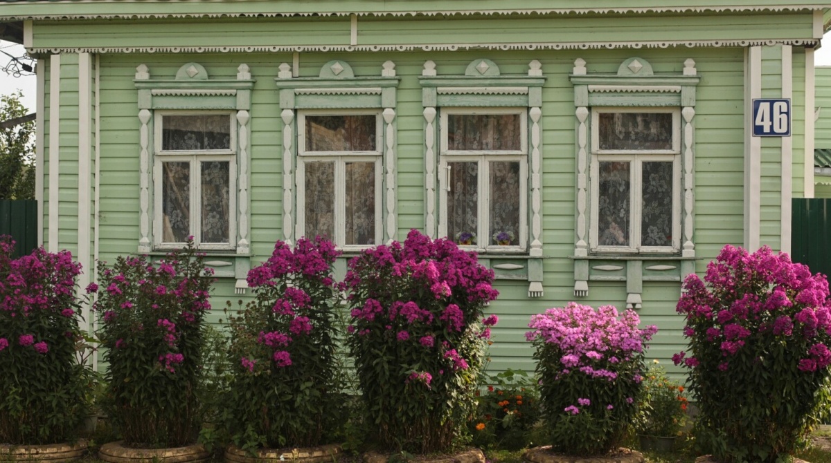 Окошки деревни Фролково