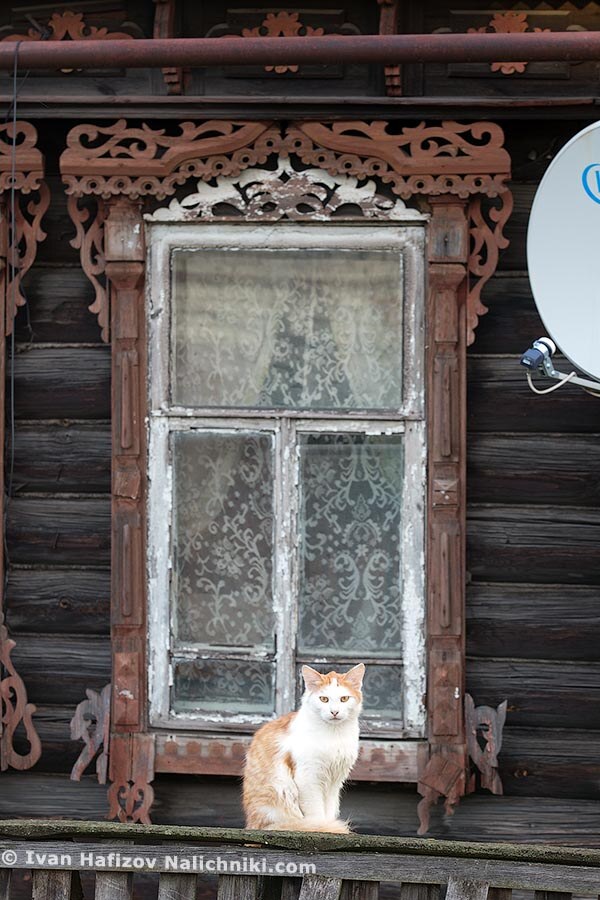 Деревянное зодчество Нижегородья