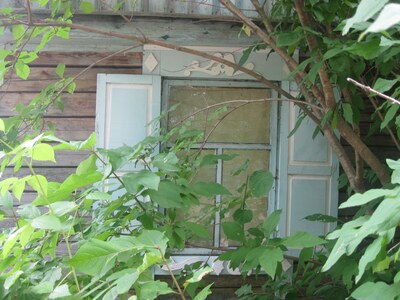 Наличники мичуринских дач