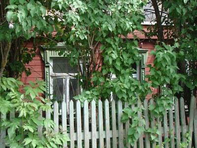 Деревянные дома и наличники в деревне Никитское