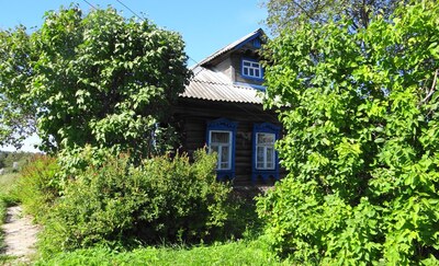 Деревянные дома в деревне Фролово Клинского района