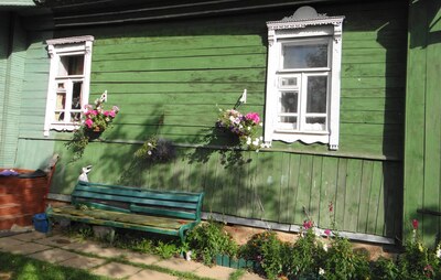 Деревянные дома в деревне Фролово Клинского района
