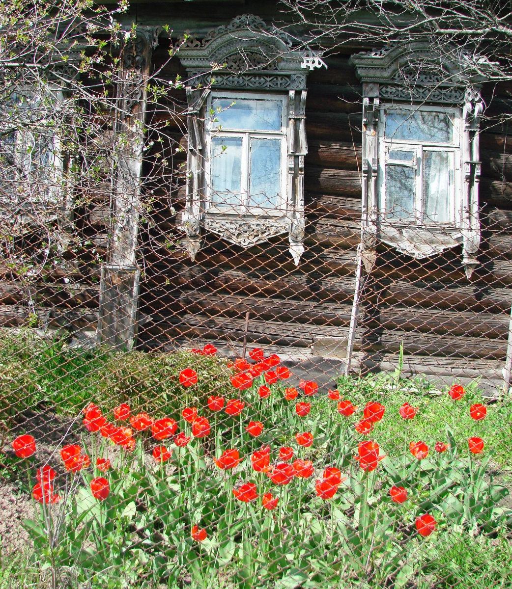 для конкурса