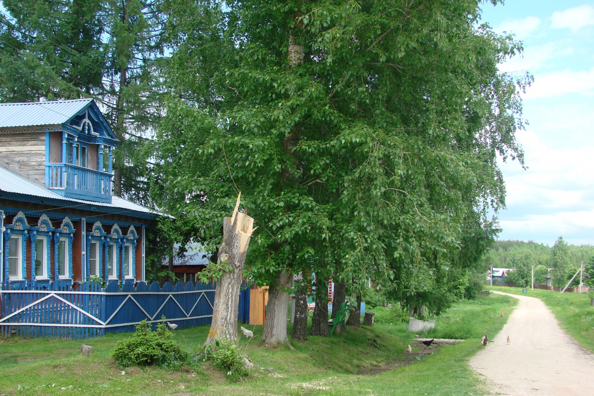для конкурса