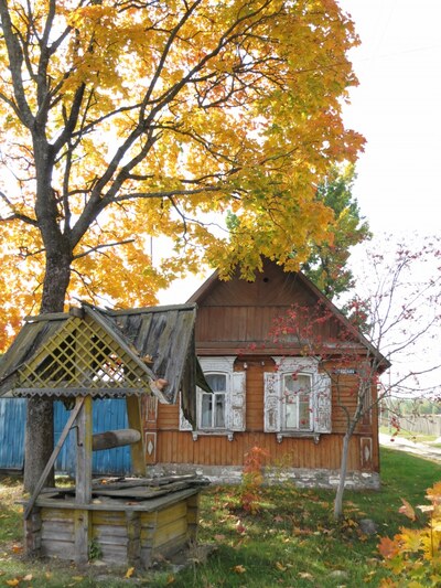 Деревянное кружево Злынки