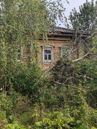 Наличники поселка Сусанино