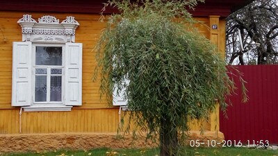 Наличники жилых домов и административных зданий г. Злынка