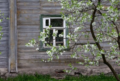 Тутаевские окошки
