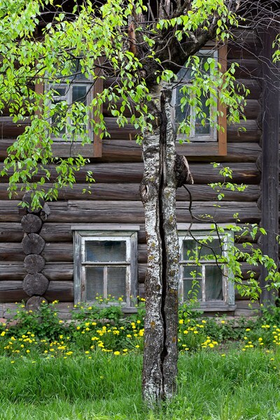 Тутаевские окошки