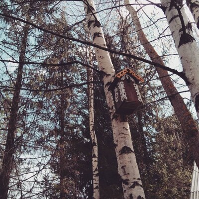 Фасад дачного дома