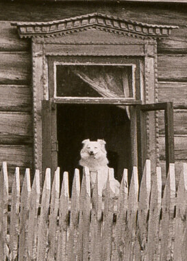 наличник с фотографии 20-30-х годов XX в.
