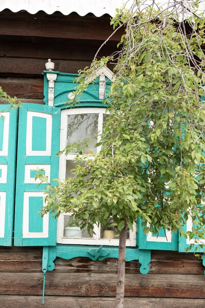 Тарбагатай