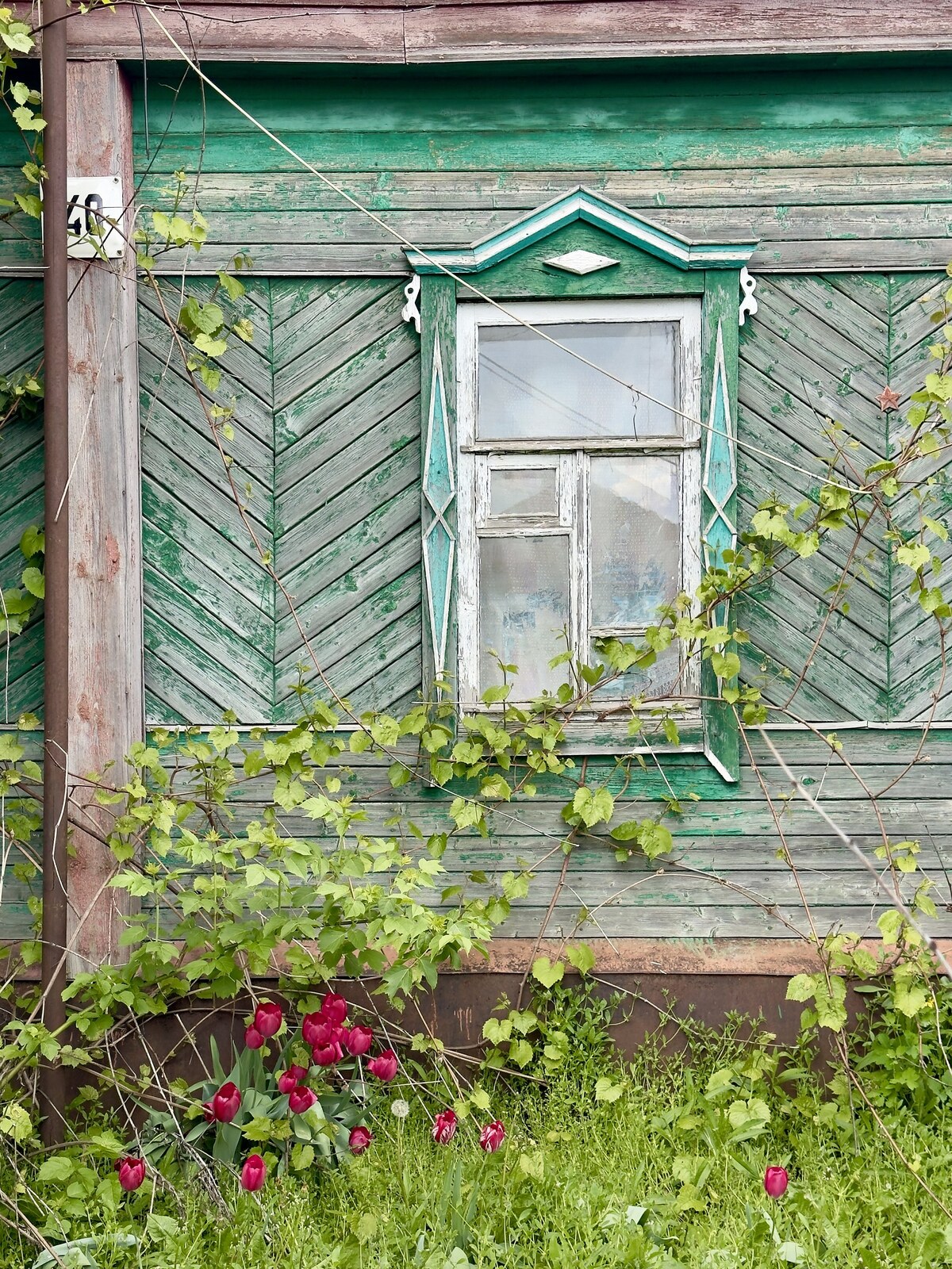 Белинский