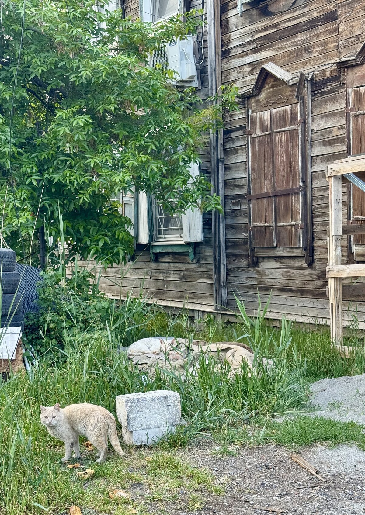 Астрахань