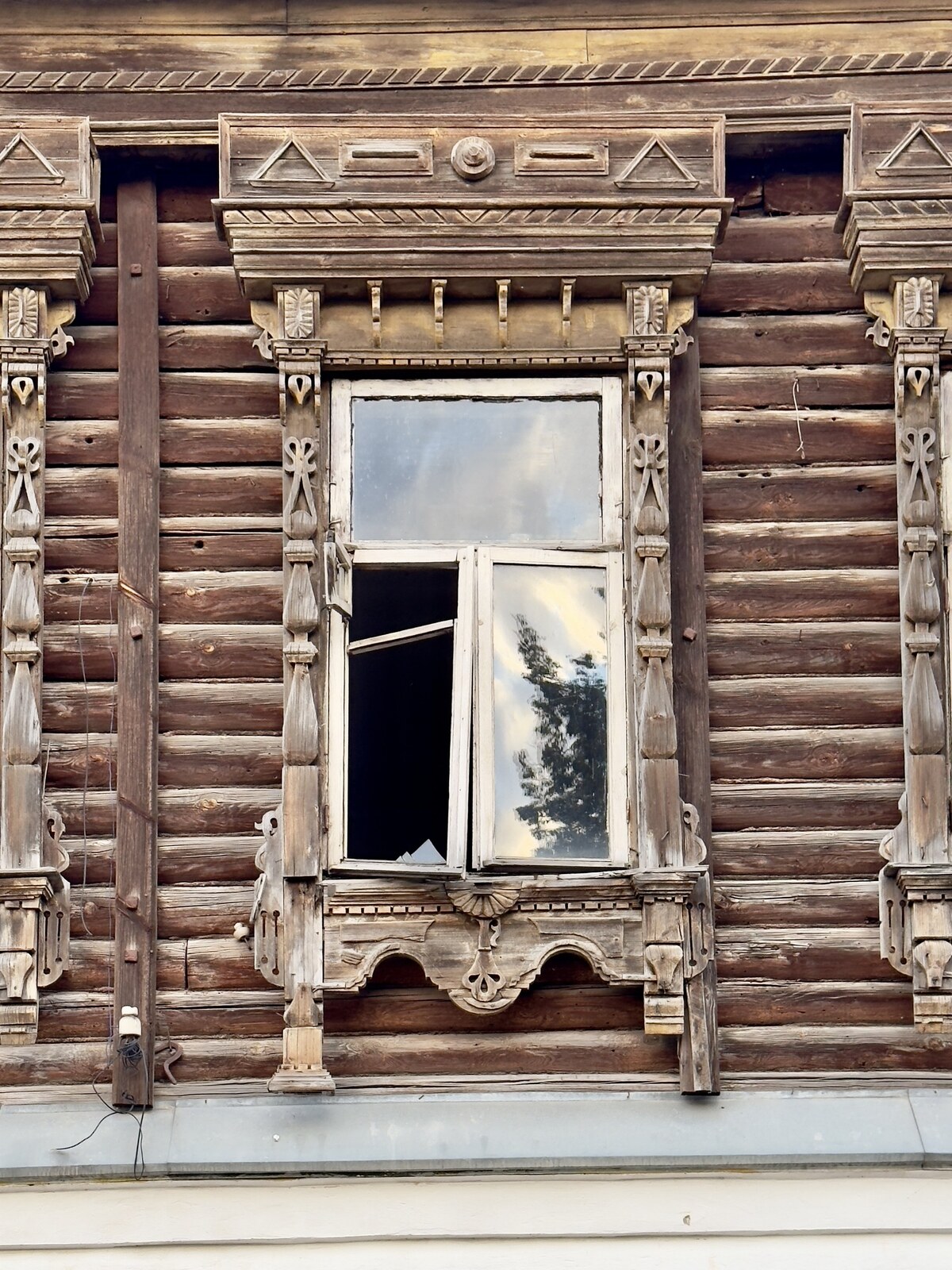 Белоомут