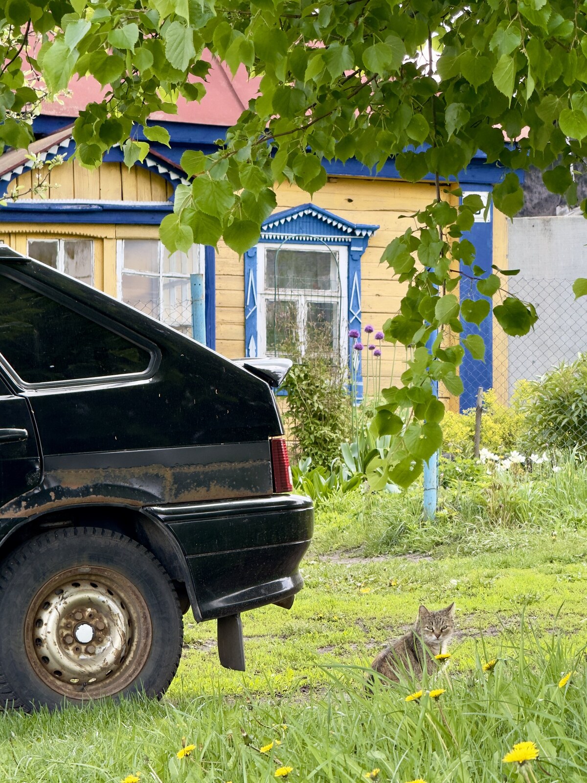 Белинский