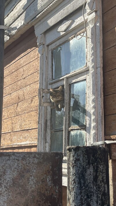 Боровск