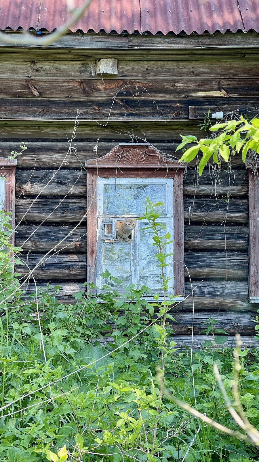 Углич
