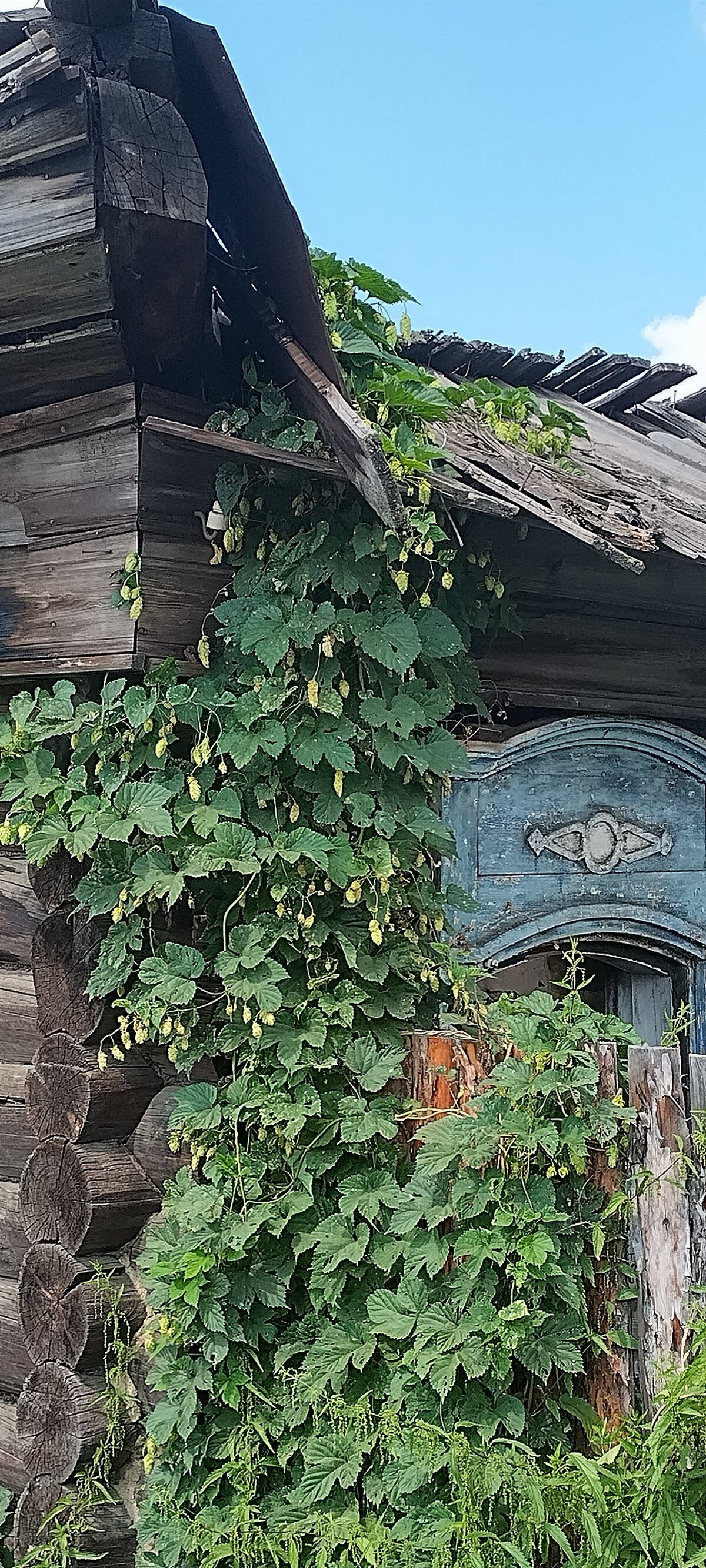 Тулун