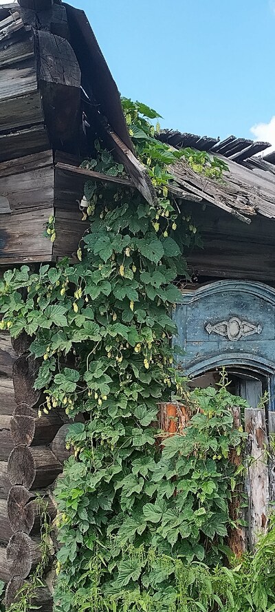 Тулун