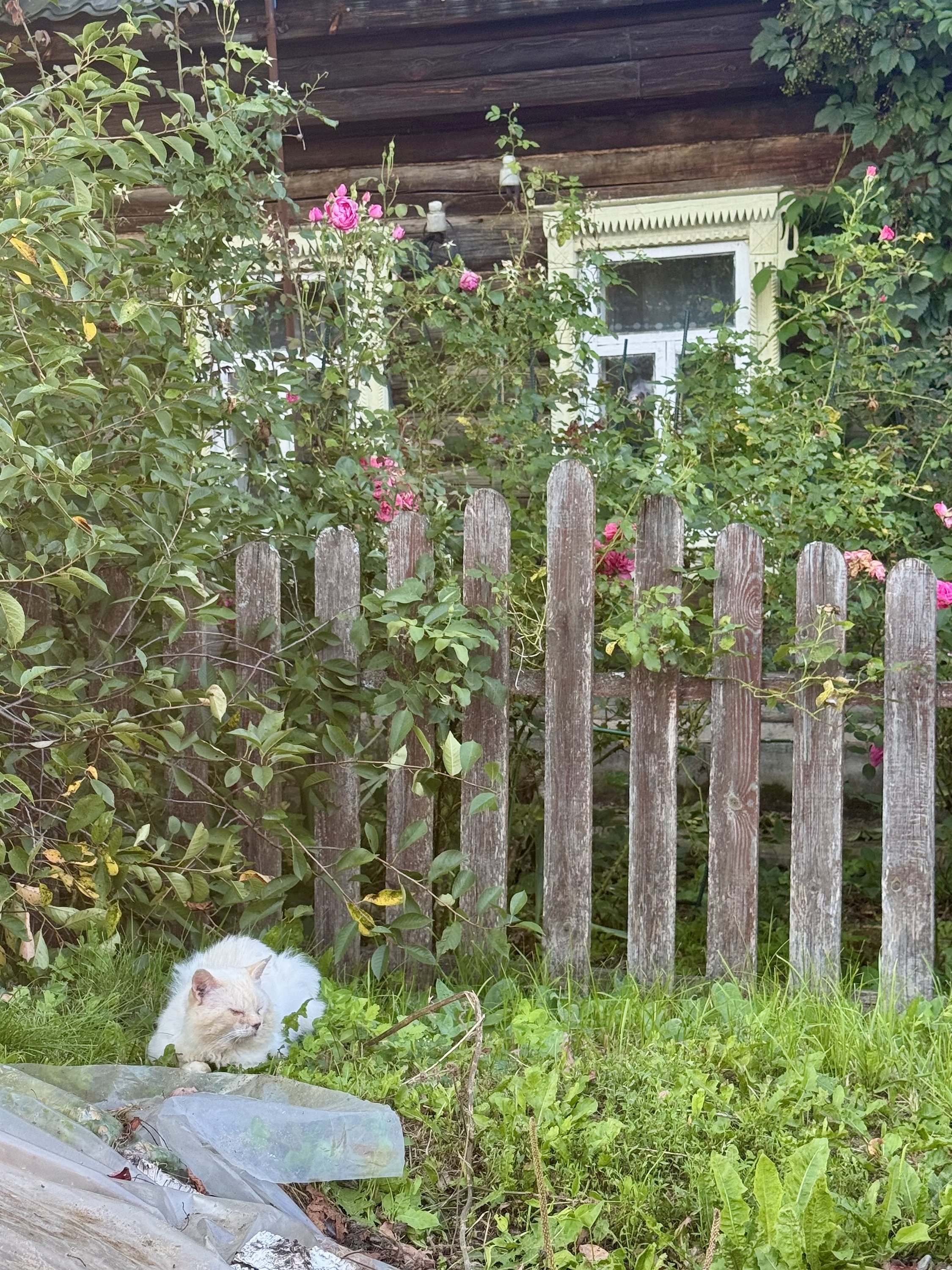 Таруса