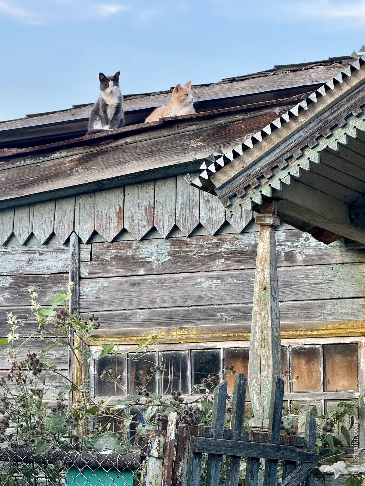 Лукоянов