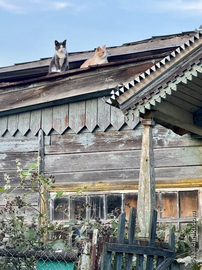 Лукоянов