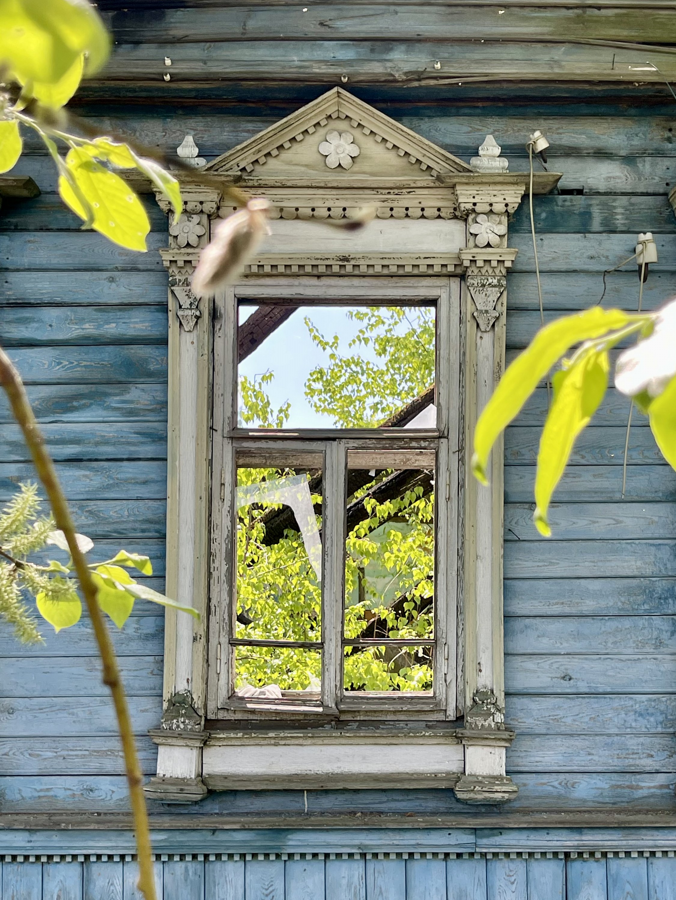 Ветлуга