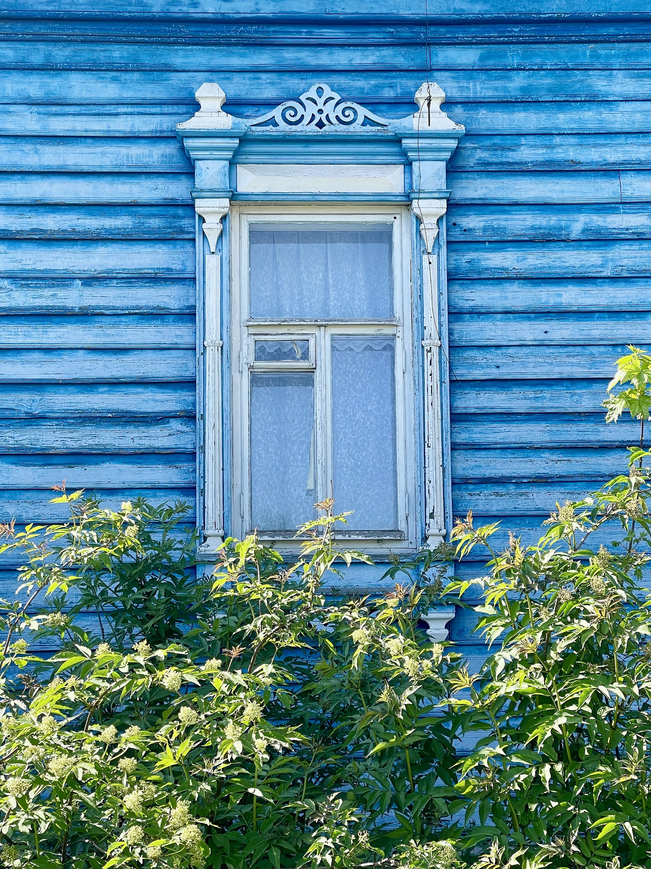 Ветлуга