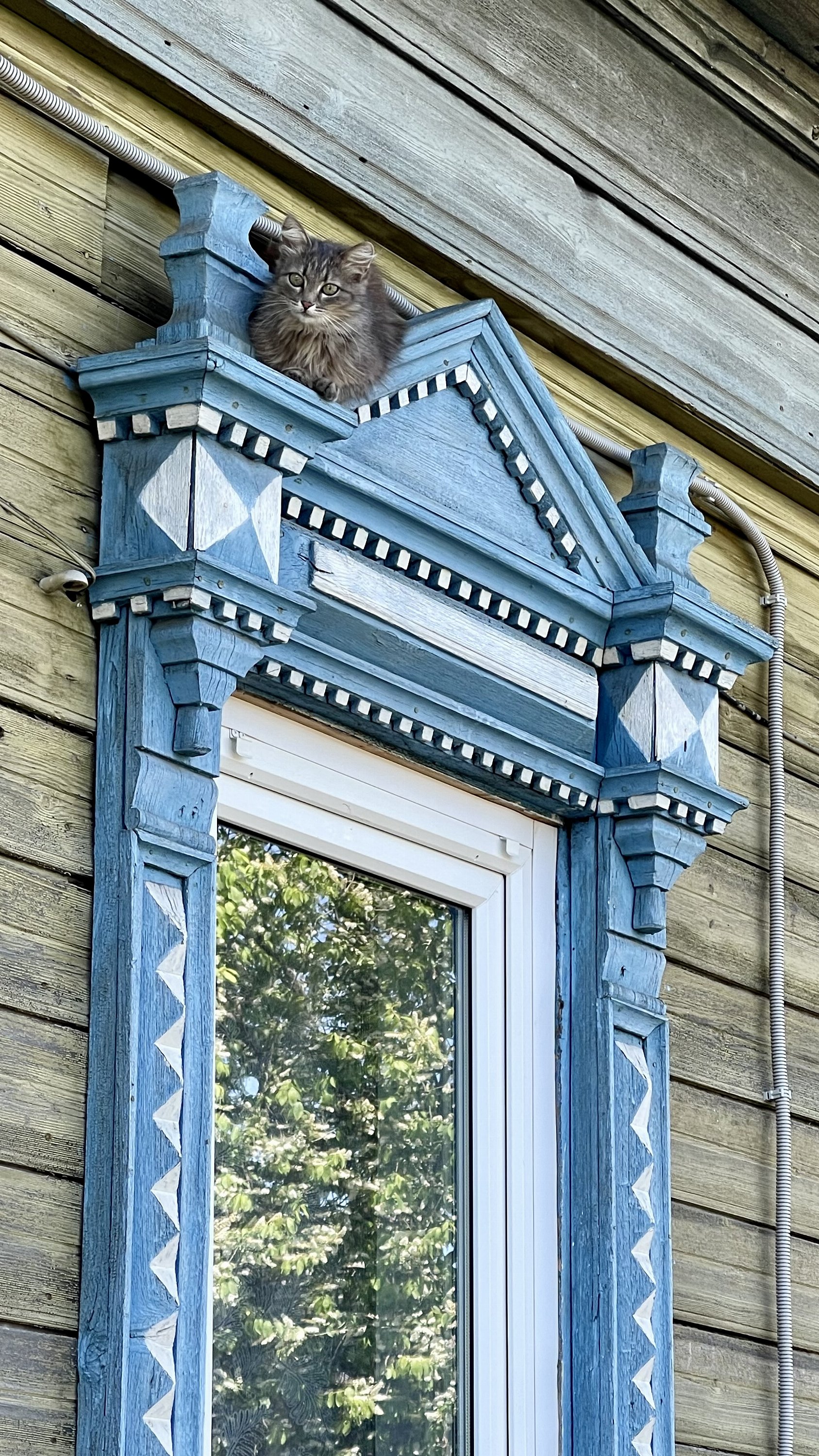 Ветлуга