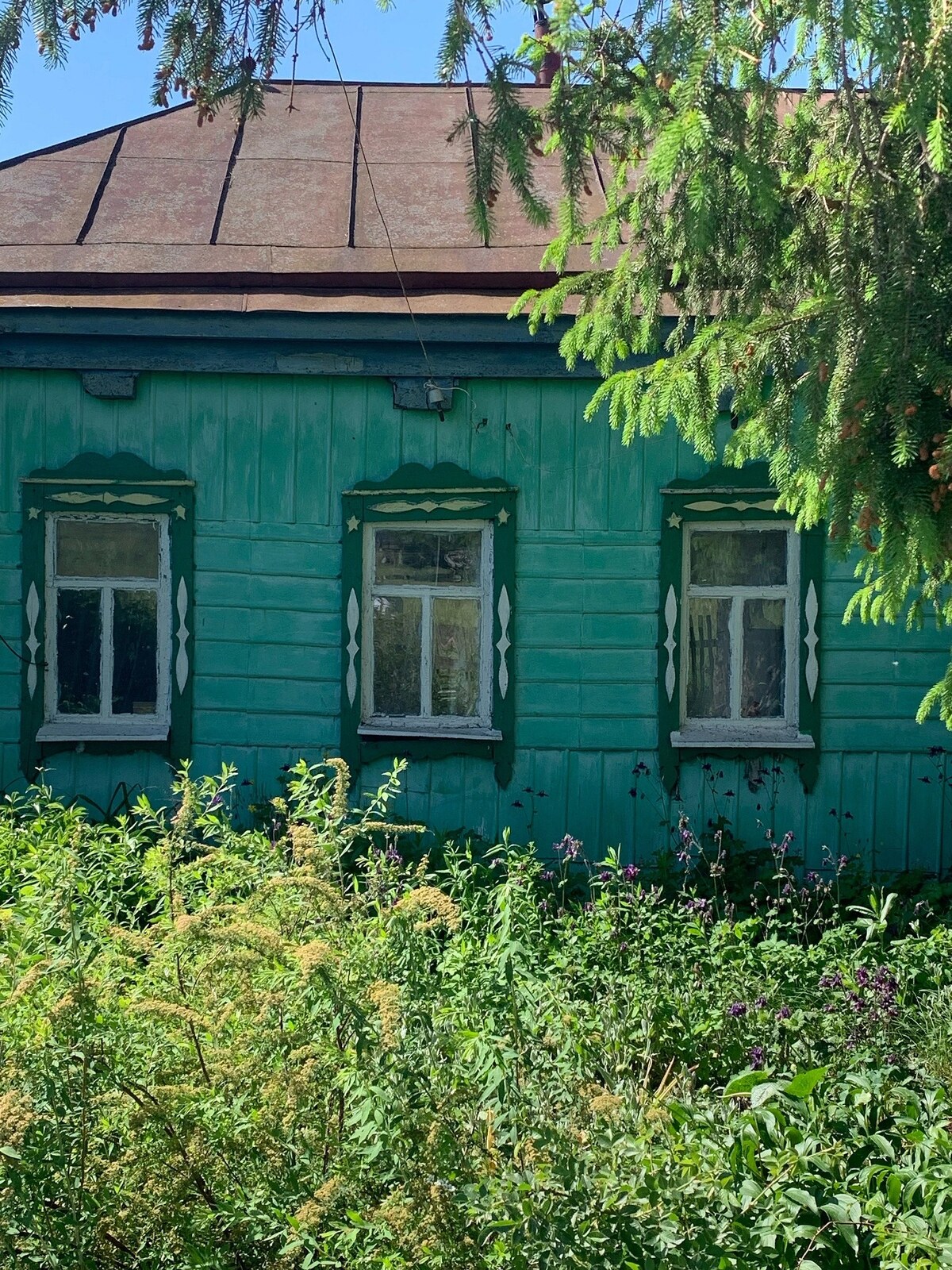 Мучкапский