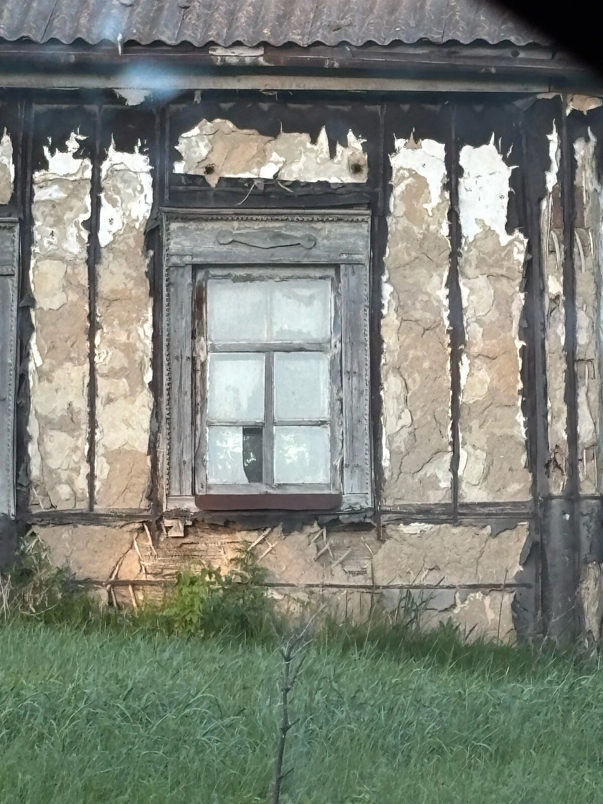 Мучкапский