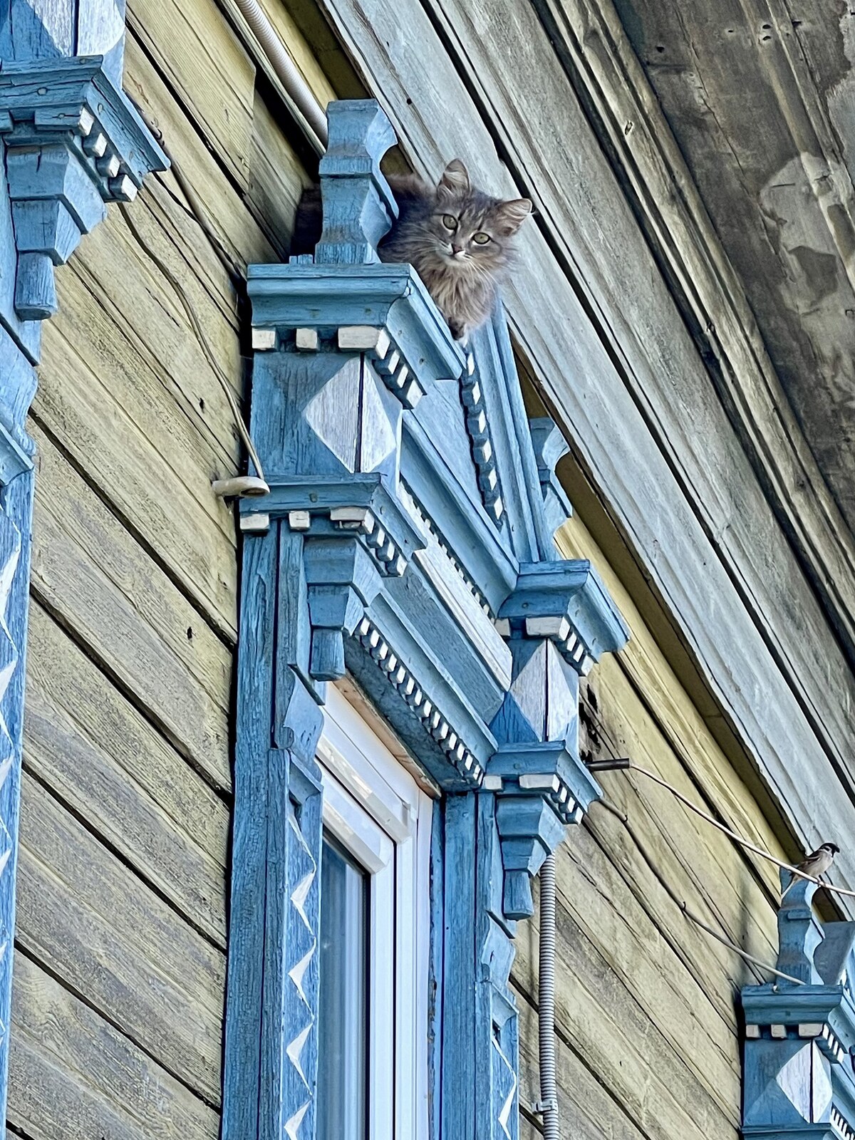 Ветлуга