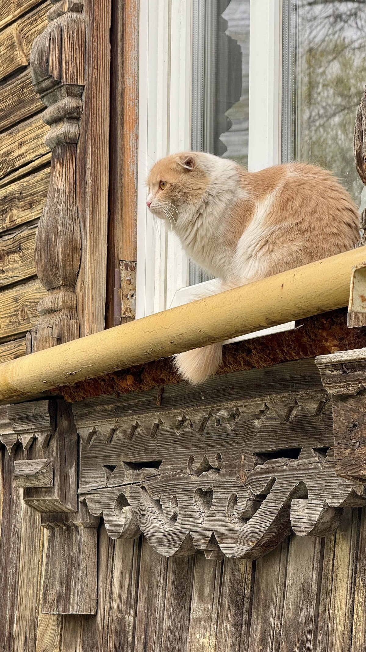 Борисоглебск