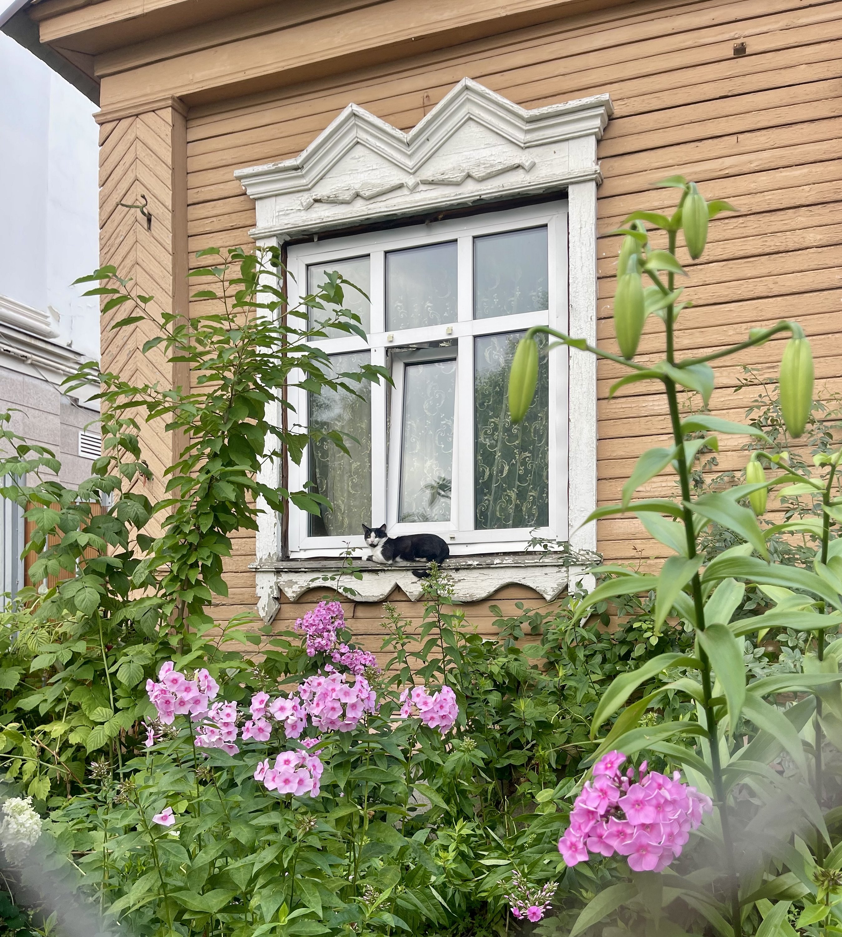 Казань