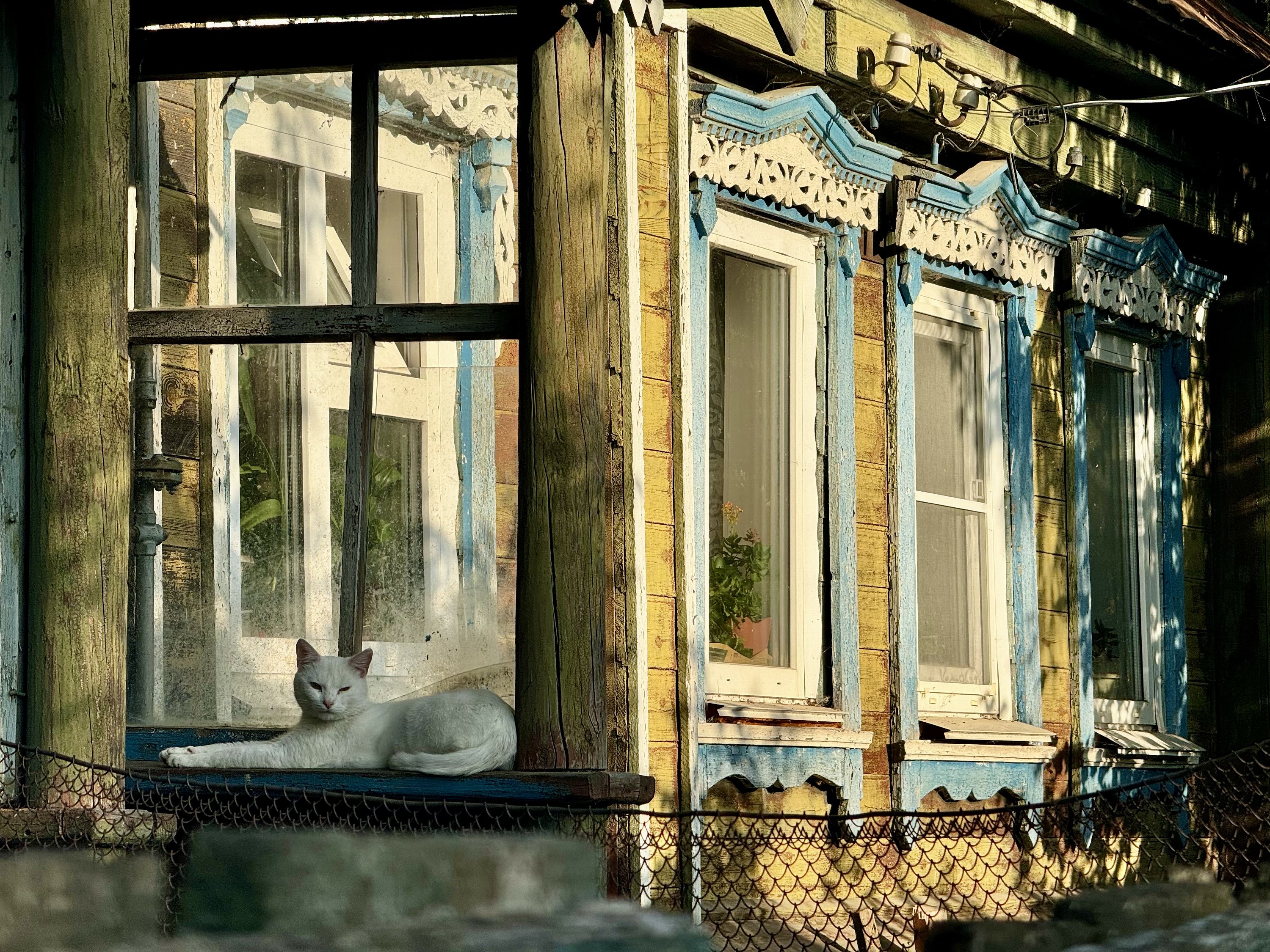 Лукоянов