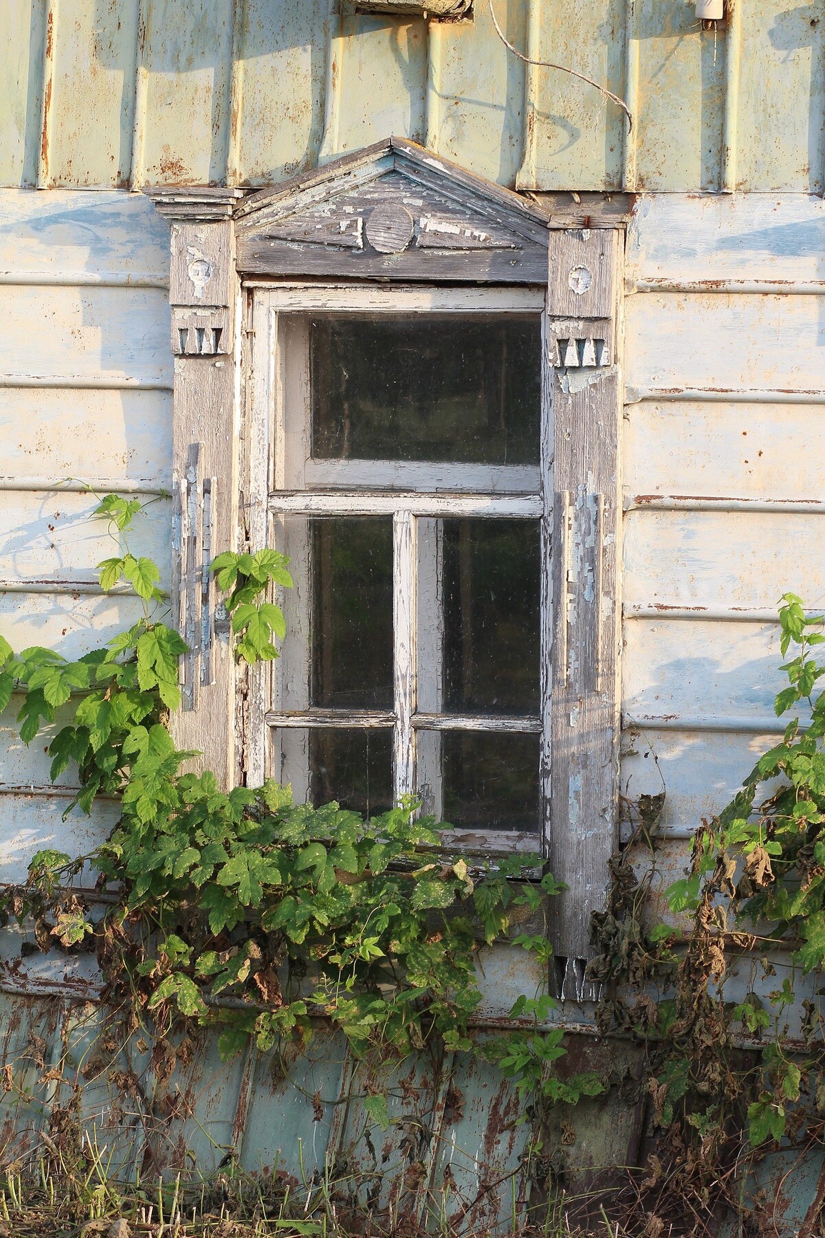 Мучкапский