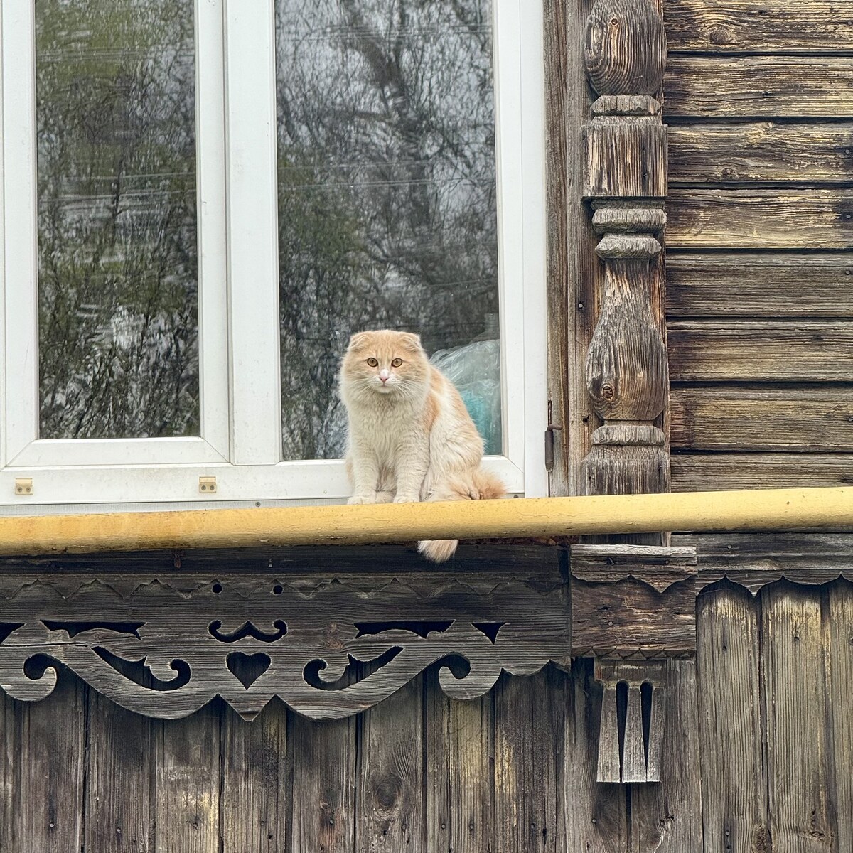 Борисоглебск