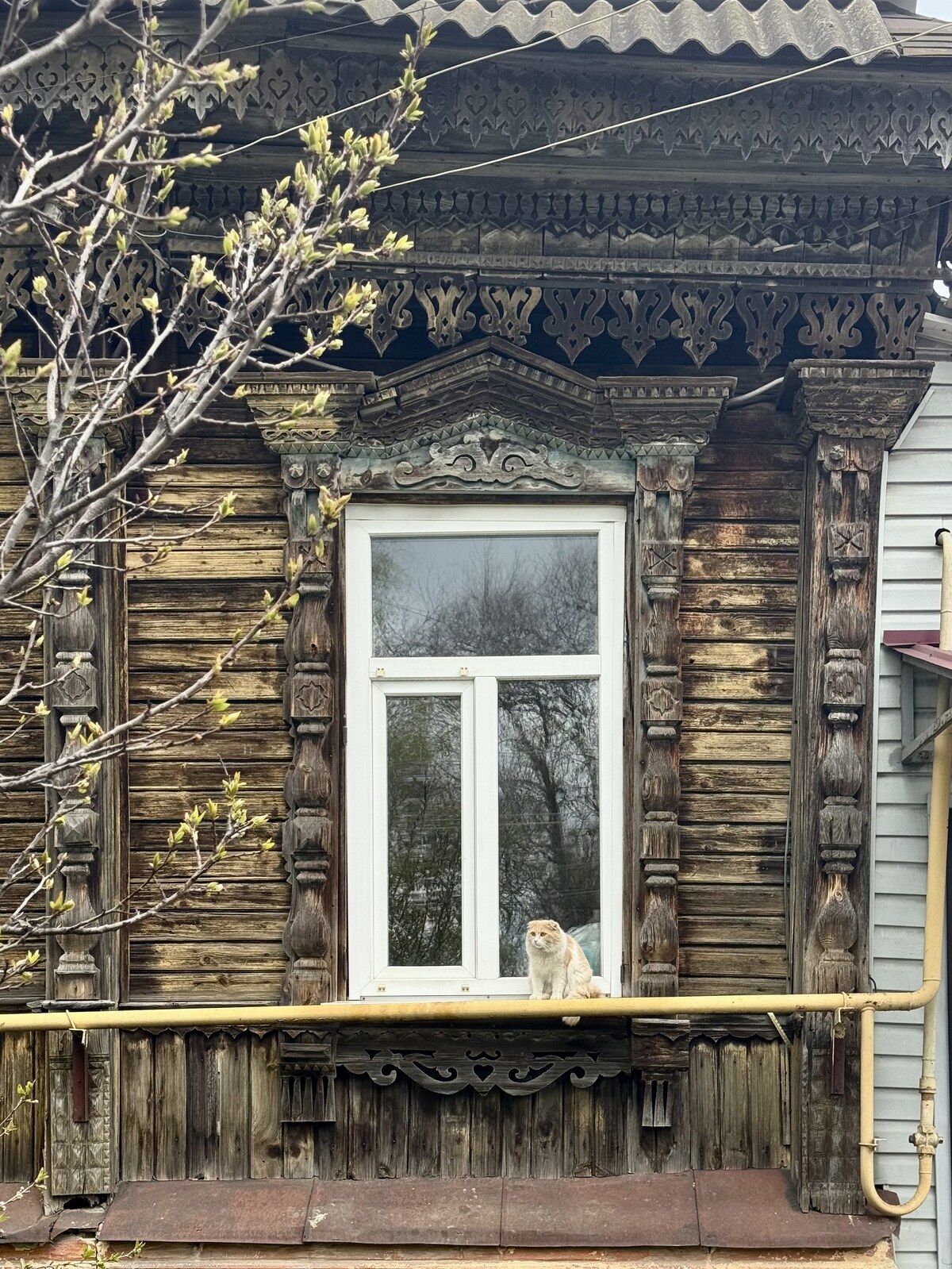Борисоглебск