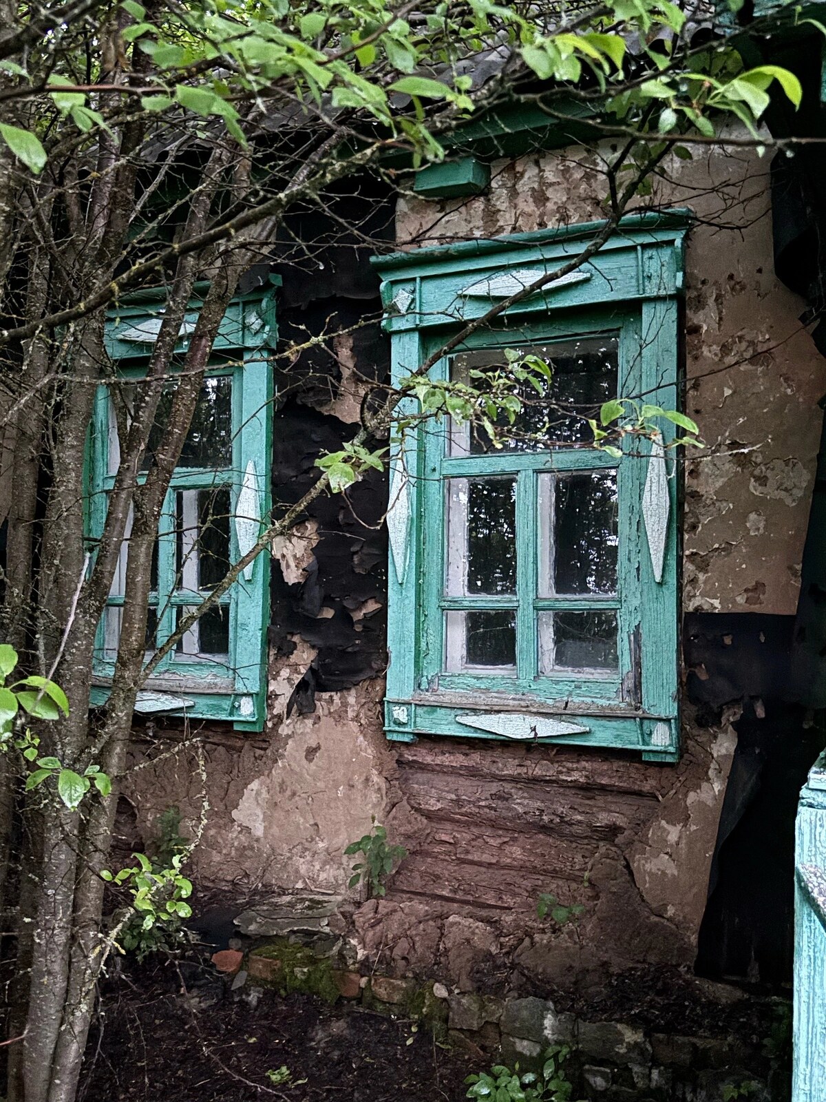 Мучкапский