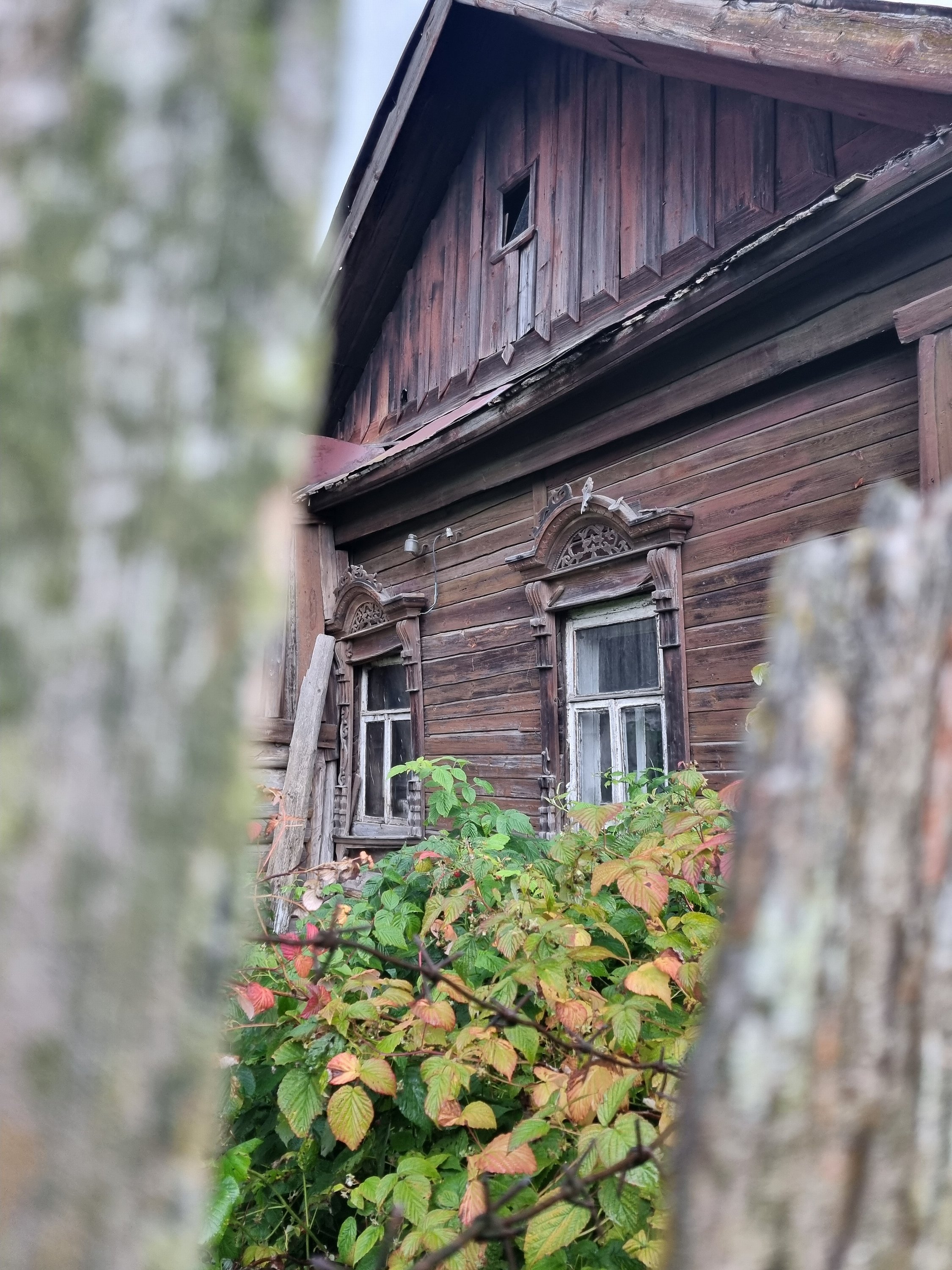 Нерехта