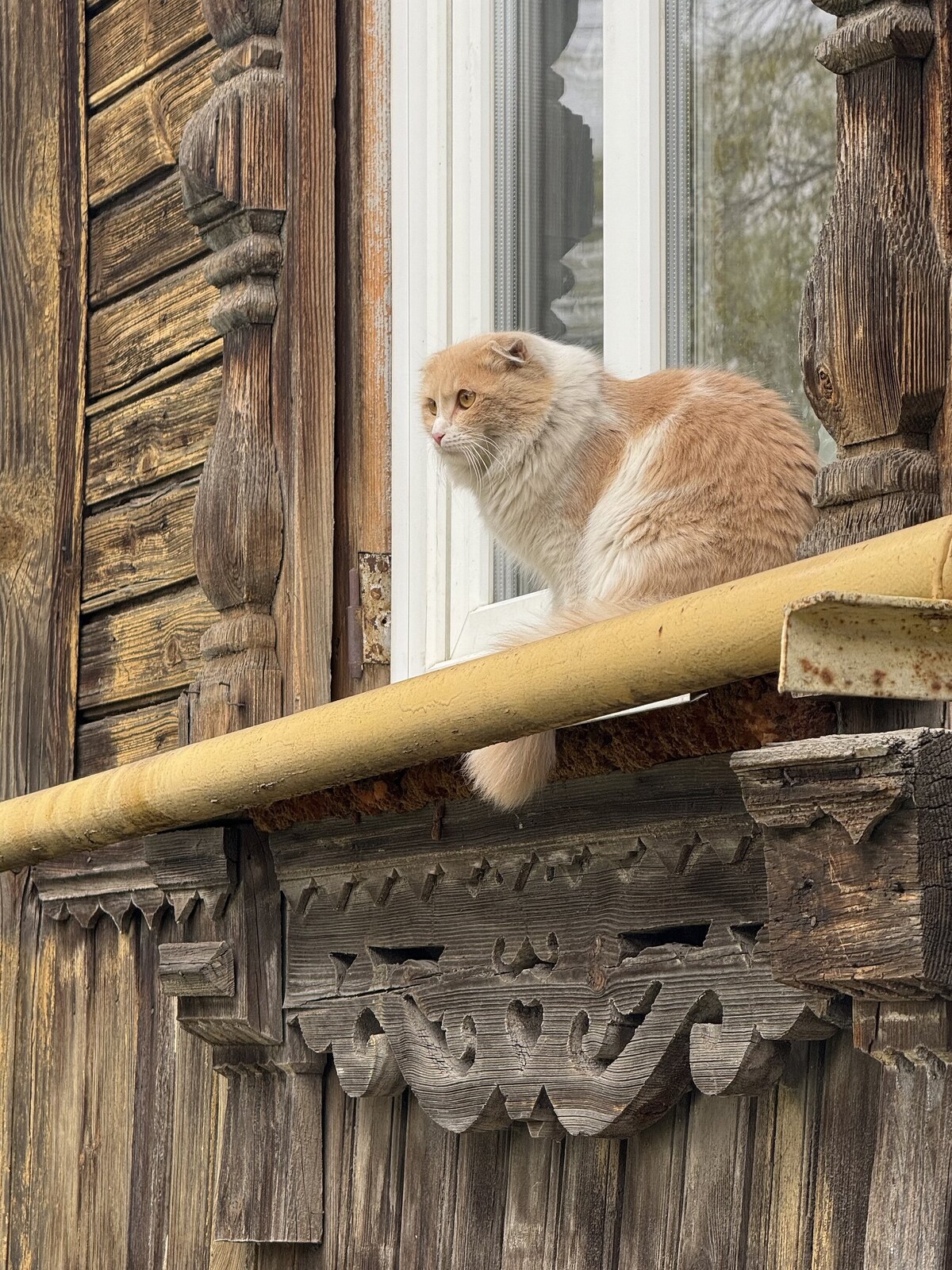 Борисоглебск