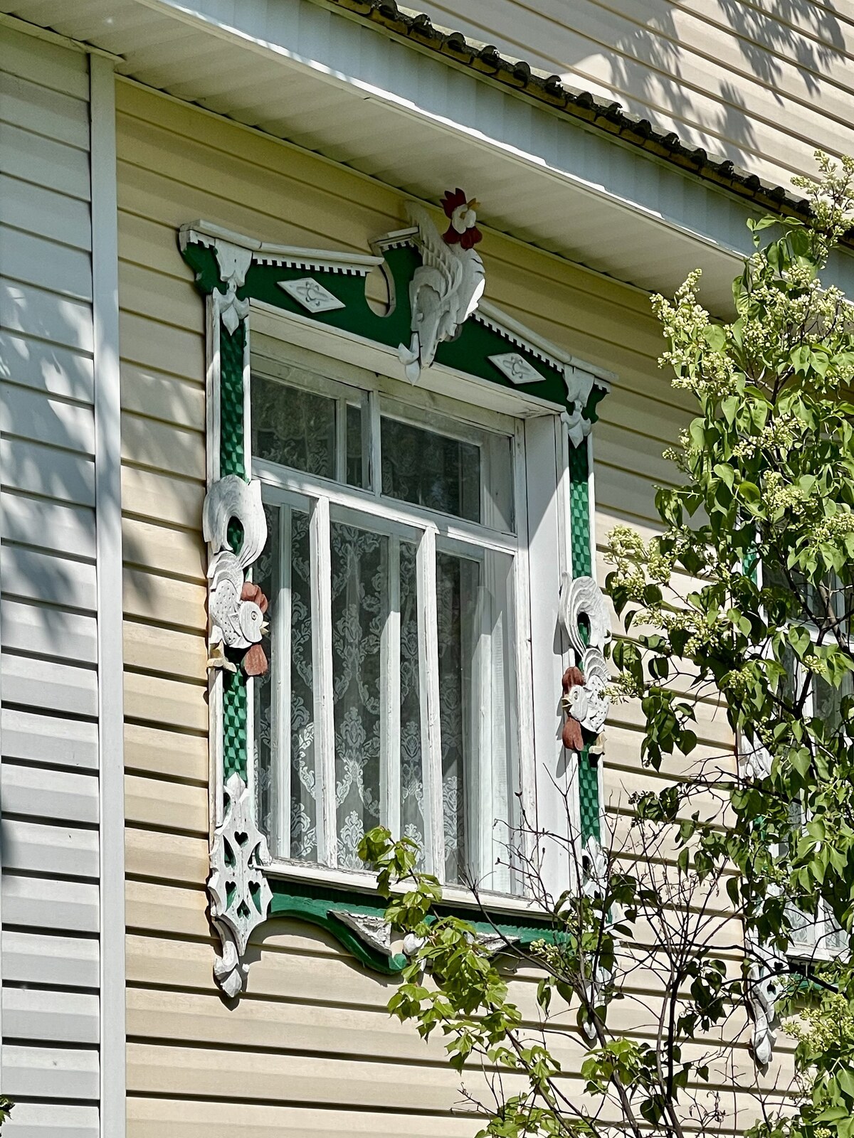 Ветлуга