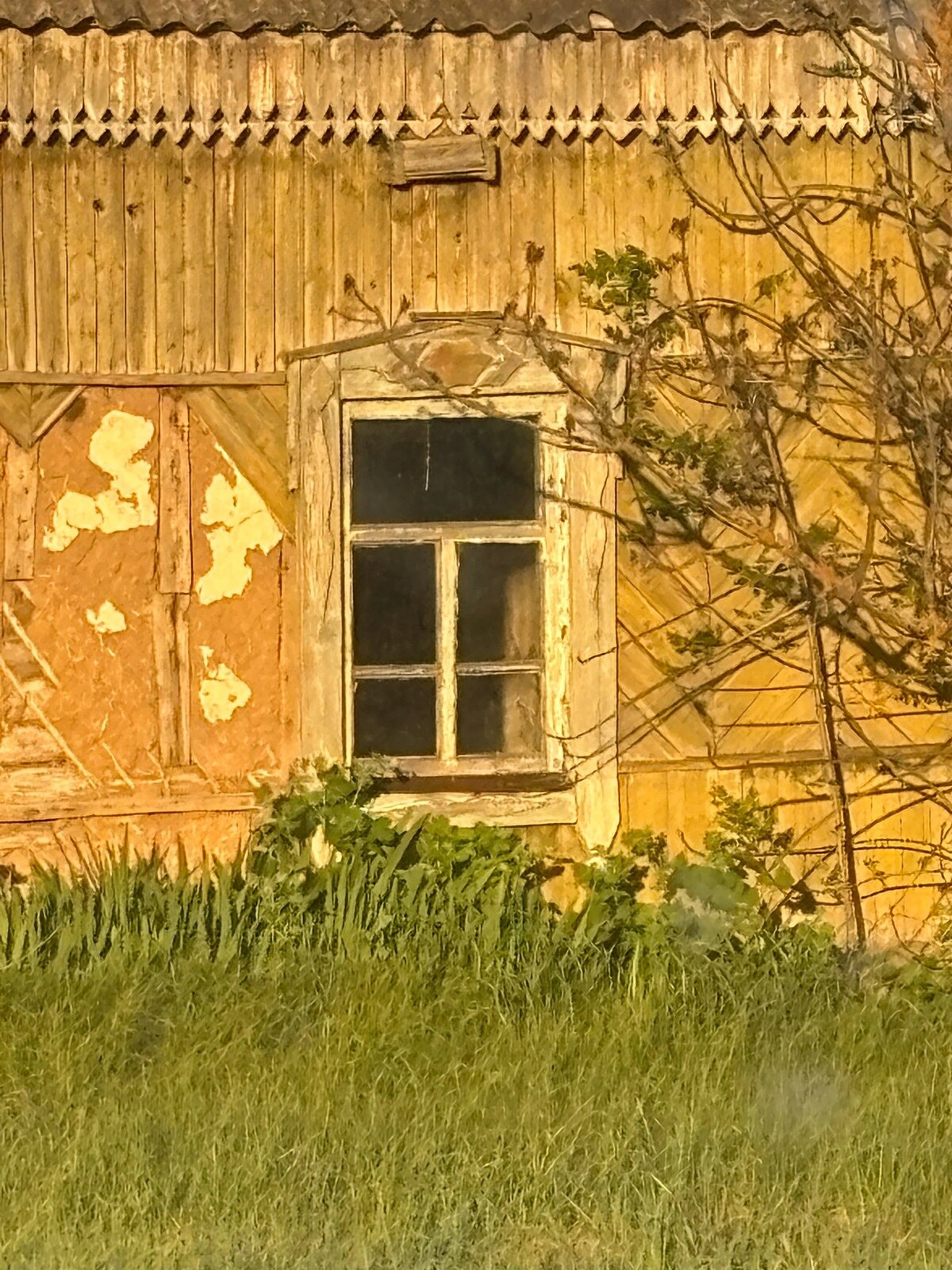 Мучкапский