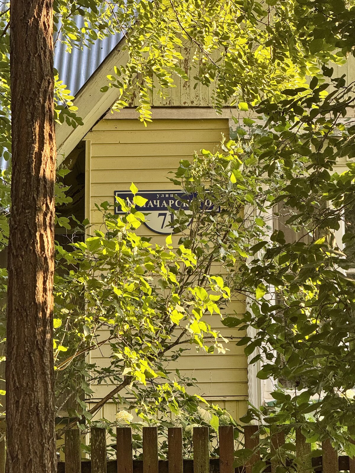 Таруса
