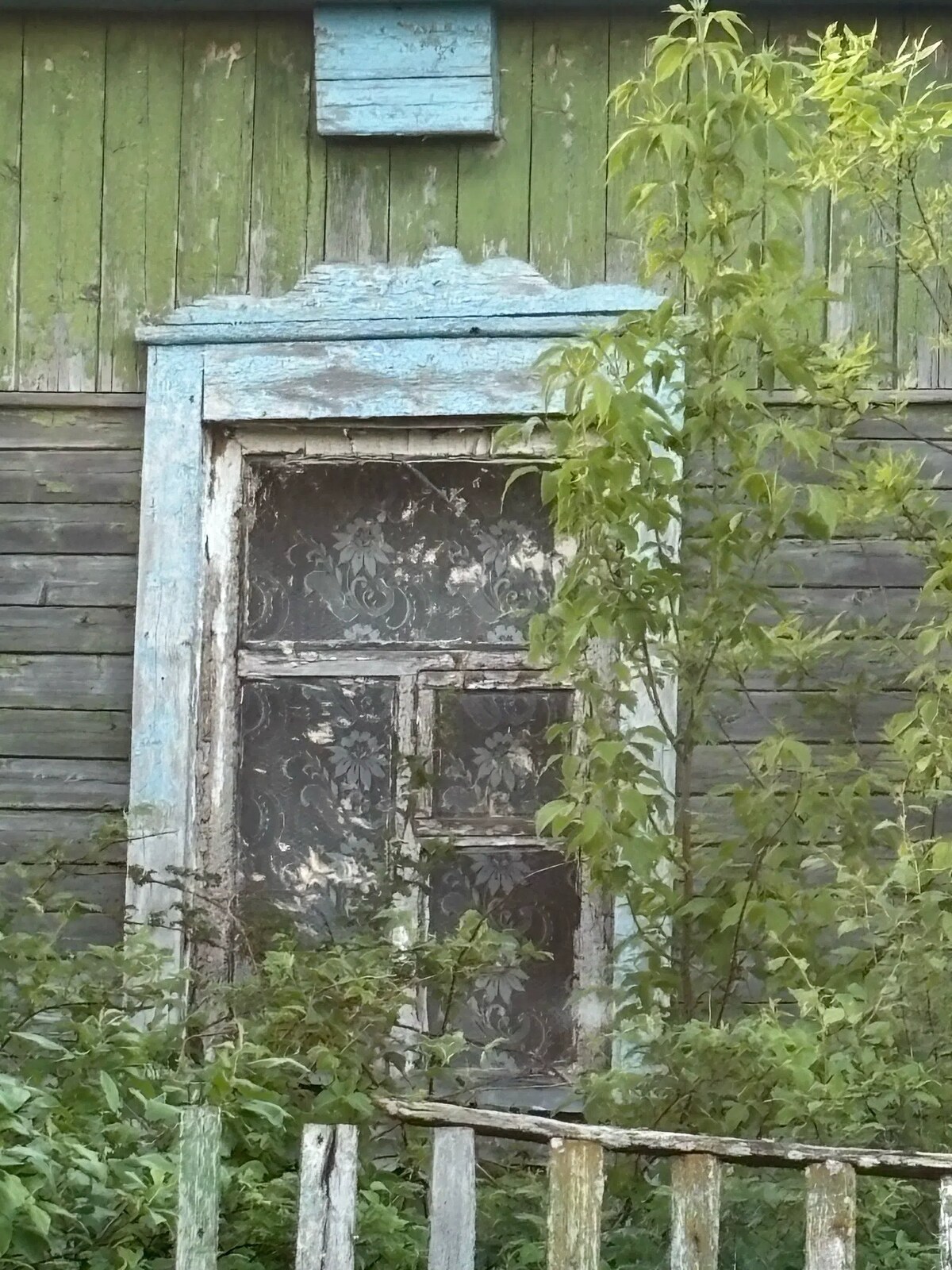 Мучкапский