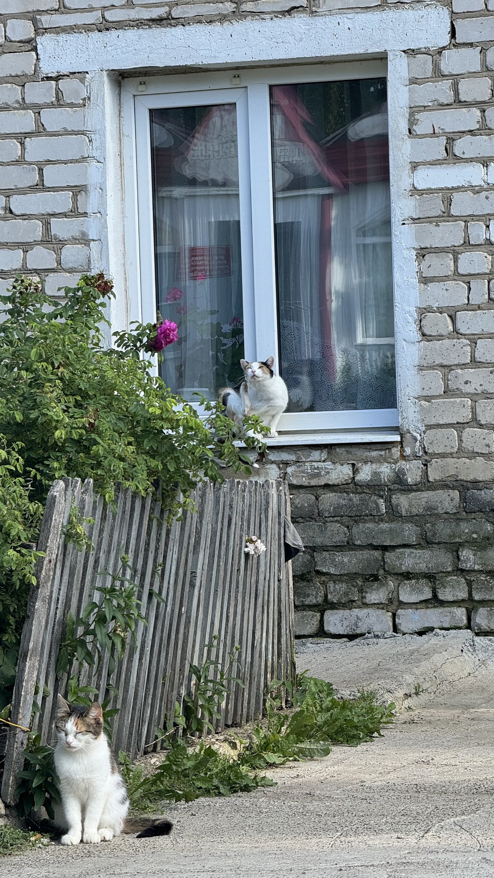Лукоянов