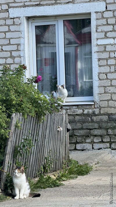Лукоянов