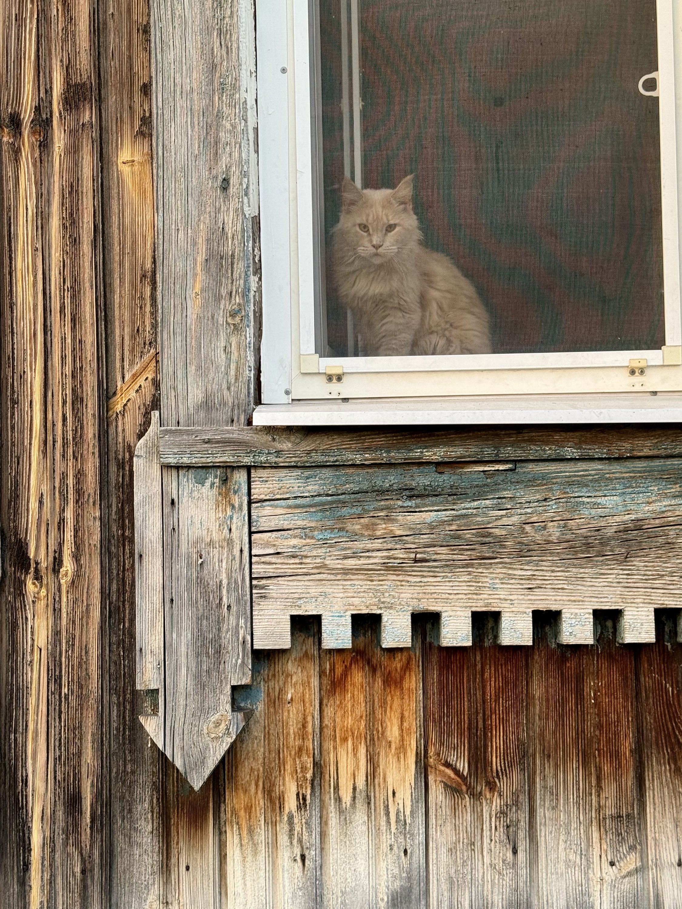 Димитровград