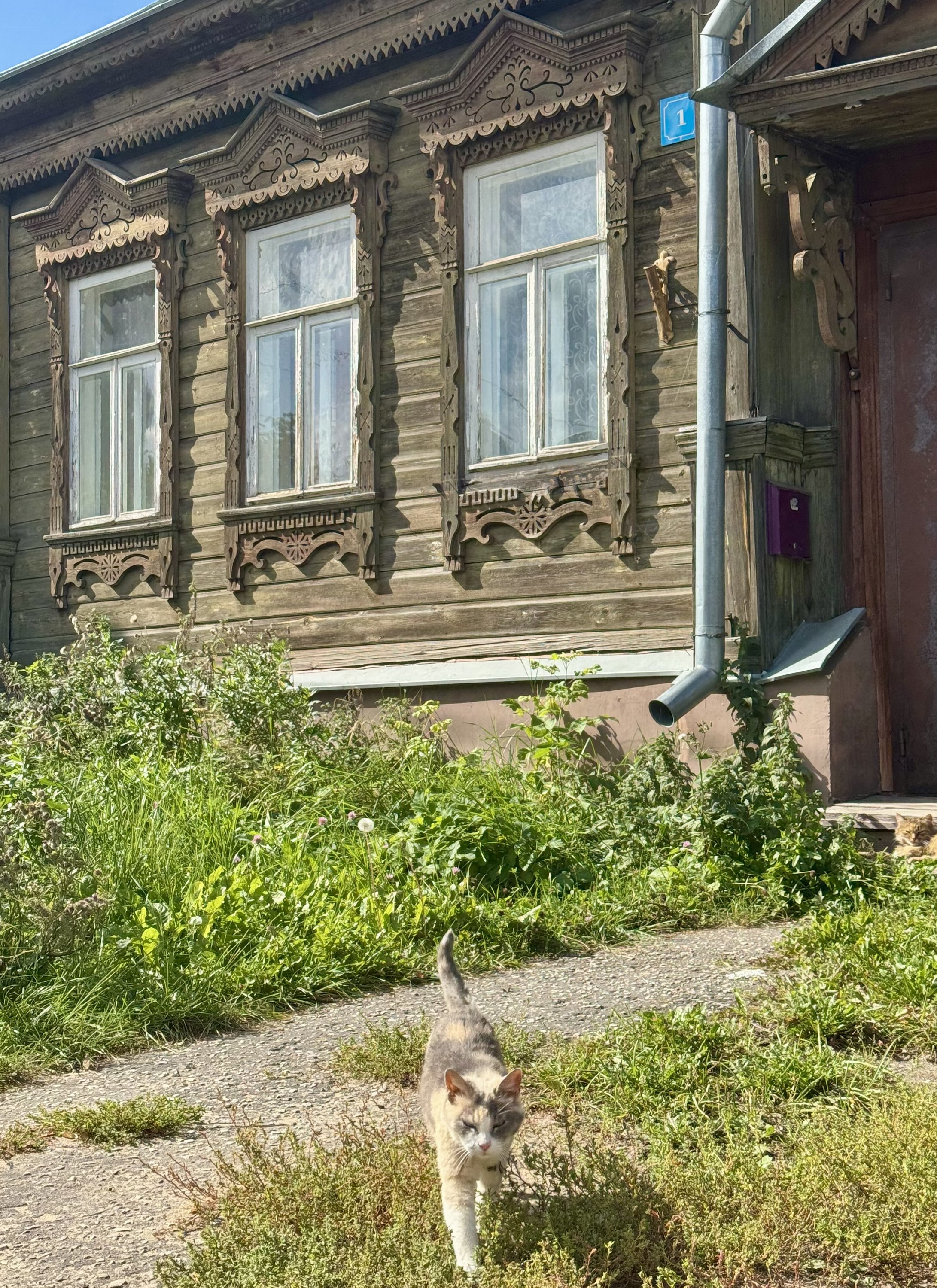 Владимир